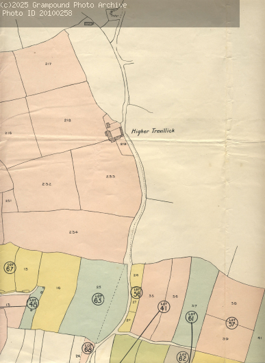 Picture of Property sale 1919 map - up Pepo Lane