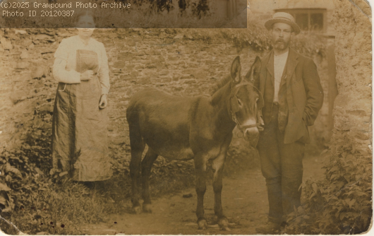 Picture of Grampound people with a donkey