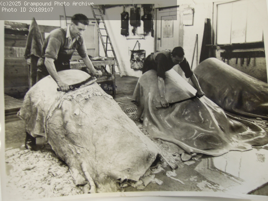 Picture of Manor Tannery fleshing